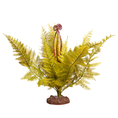 REPTILE ONE PLANT LG EAGLE FERN GREEN WITH CERAMIC BASE