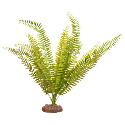 REPTILE ONE PLANT LG FERN GREEN WITH CERAMIC BASE