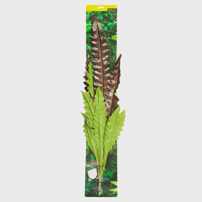 REPTILE ONE HANGING PLANT 90CM BIRDS NEST FERN RED