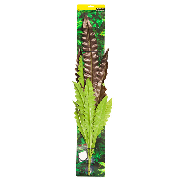 REPTILE ONE HANGING PLANT 90CM BIRDS NEST FERN RED