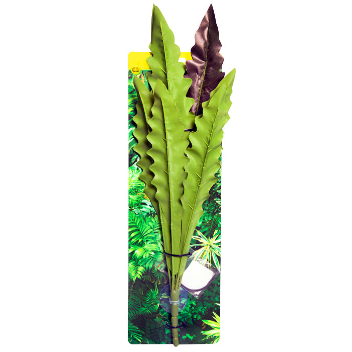 REPTILE ONE HANGING PLANT 40CM BIRDS NEST FERN RED