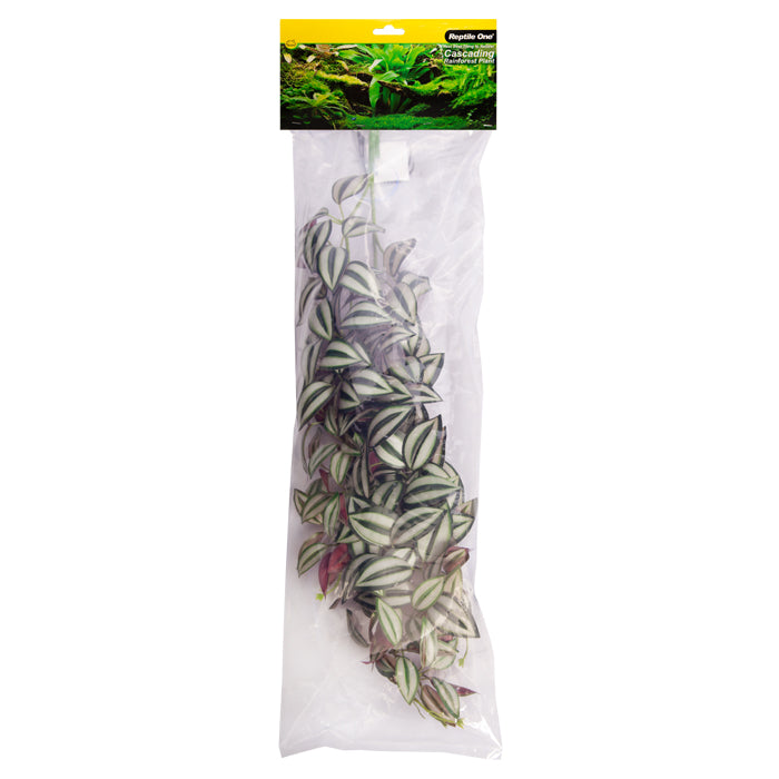 REPTILE ONE HANGING PLANT 70CM TRADESCANTIA GREEN SILVER