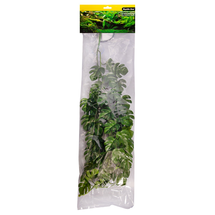 REPTILE ONE HANGING PLANT 70CM RHADHIDOPHORA GREEN