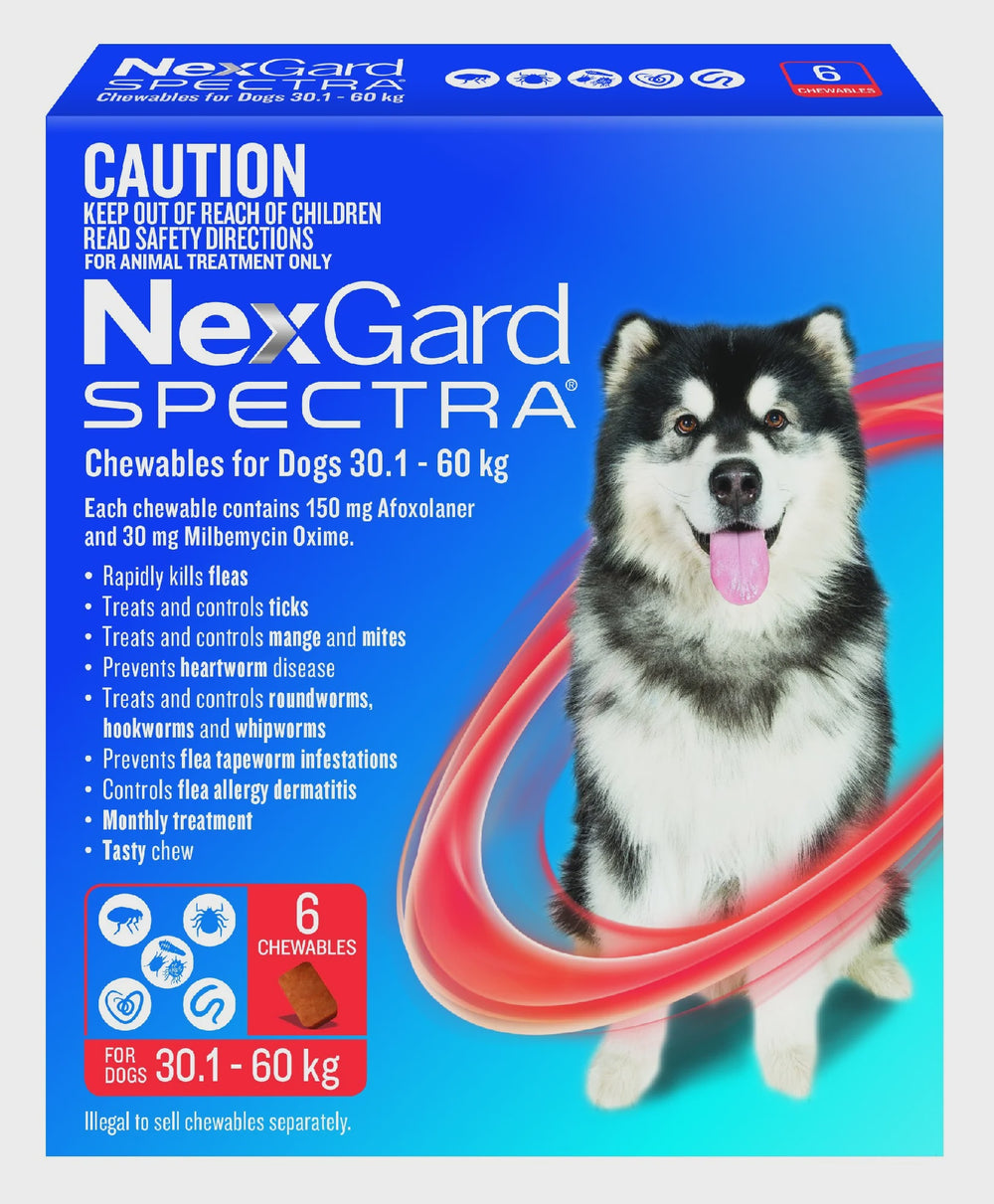 NEXGARD SPECTRA DOG 30-60KG 6PK