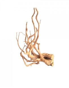 BIOSCAPE SPIDER WOOD XL 50-60CM