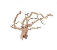 BIOSCAPE SPIDER WOOD XL 50-60CM