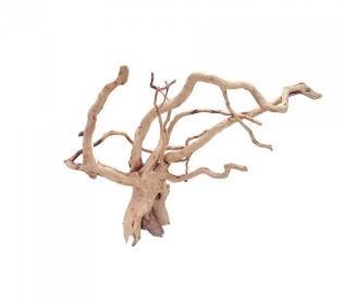 BIOSCAPE SPIDER WOOD XL 50-60CM