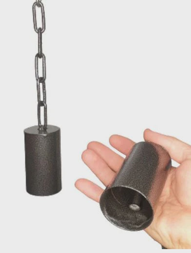 AVIAN CARE PARROT BELL METAL L
