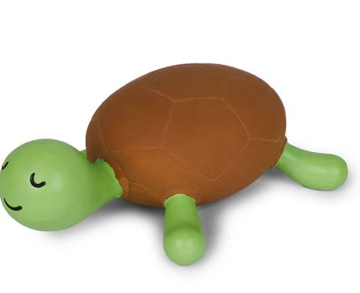 KAZOO CHOMP THE TURTLE MEDIUM