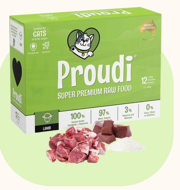 PROUDI CAT - LAMB 