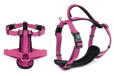 BAINBRIDGE PREMIUM HARNESS PINK M