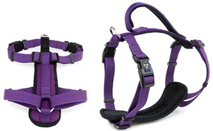 BAINBRIDGE PREMIUM HARNESS PURPLE M