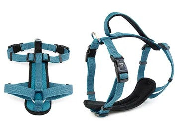 BAINBRIDGE PREMIUM HARNESS BLUE M