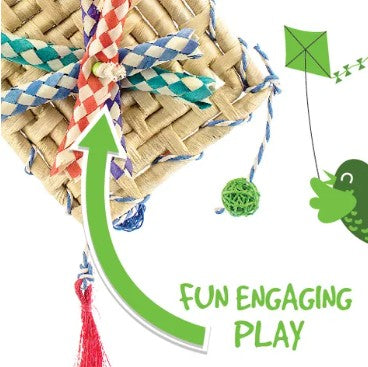 BAINBRIDGE FIESTA KITE