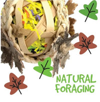 BAINBRIDGE NATURALS FORAGING BALL WITH CORK