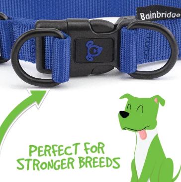 BAINBRIDGE NYLON DOUBLE RING COLLAR BLUE M