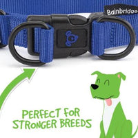 BAINBRIDGE NYLON DOUBLE RING COLLAR PINK L