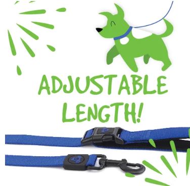 BAINBRIDGE NYLON DOG LEASH BLUE L