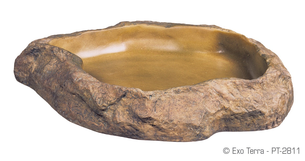 EXO TERRA FEEDING DISH MEDIUM
