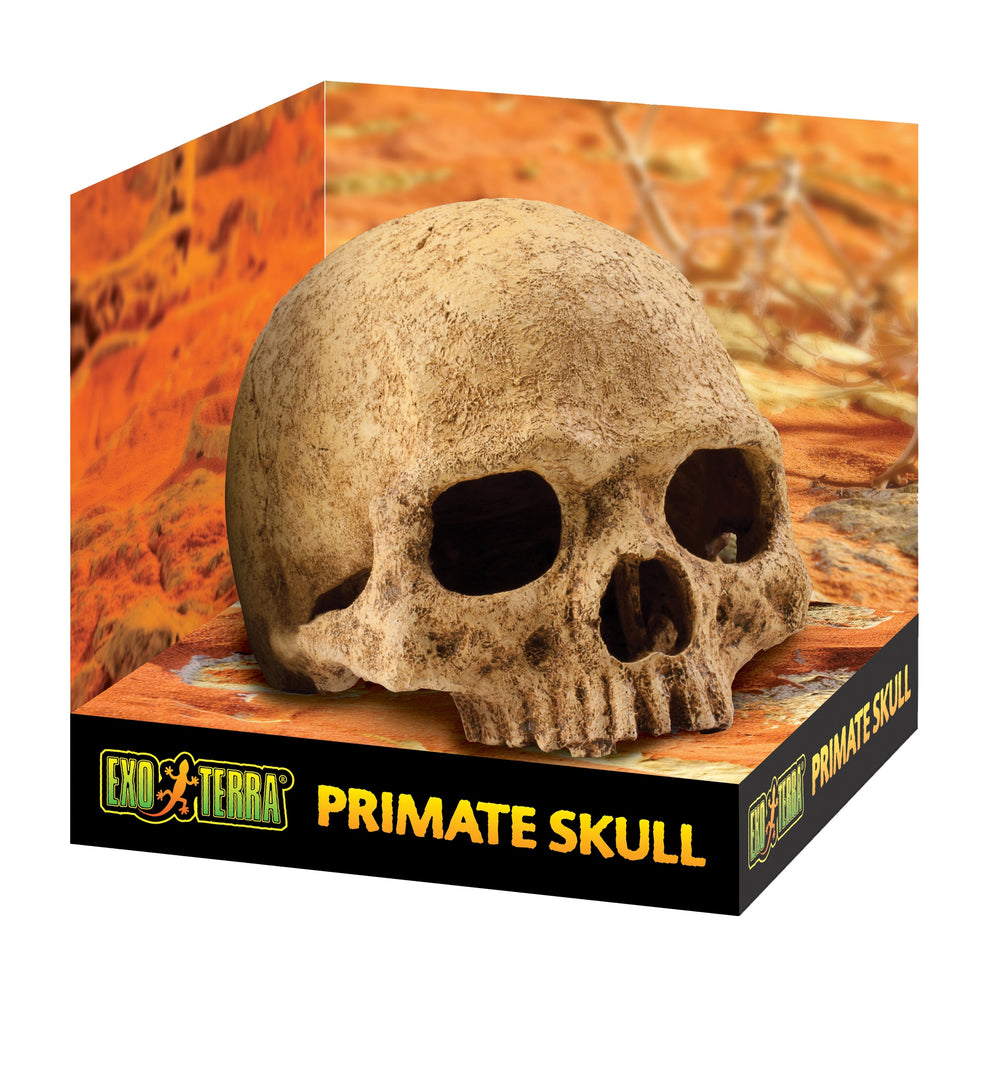 EXO TERRA PRIMATE SKULL LARGE