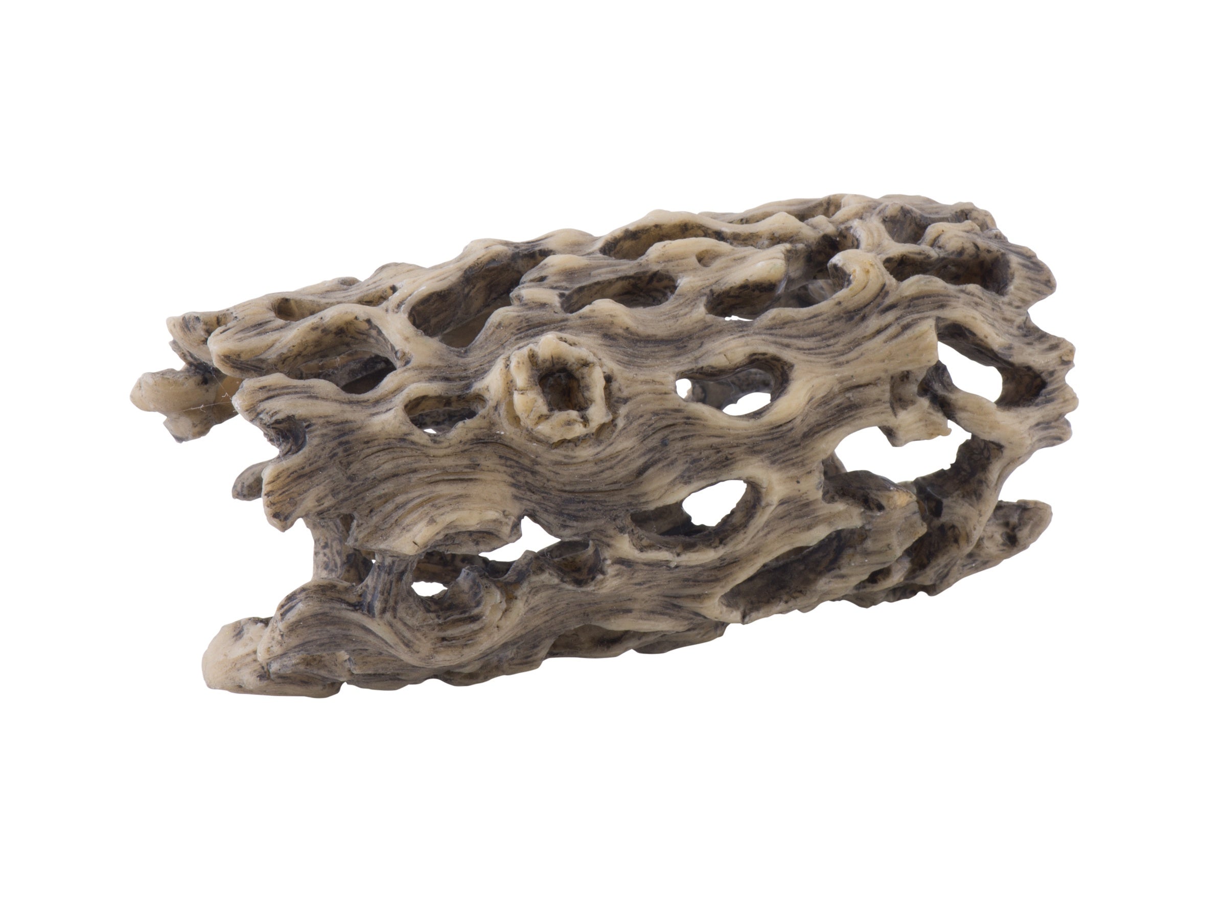 EXO TERRA CHOLLA CACTUS SKELTON SMALL