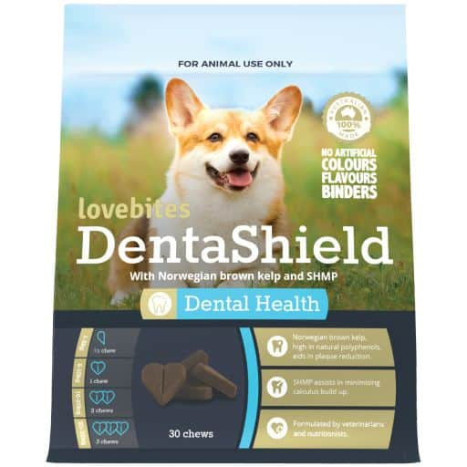 LOVEBITES DENTASHIELD 30 CHEWS