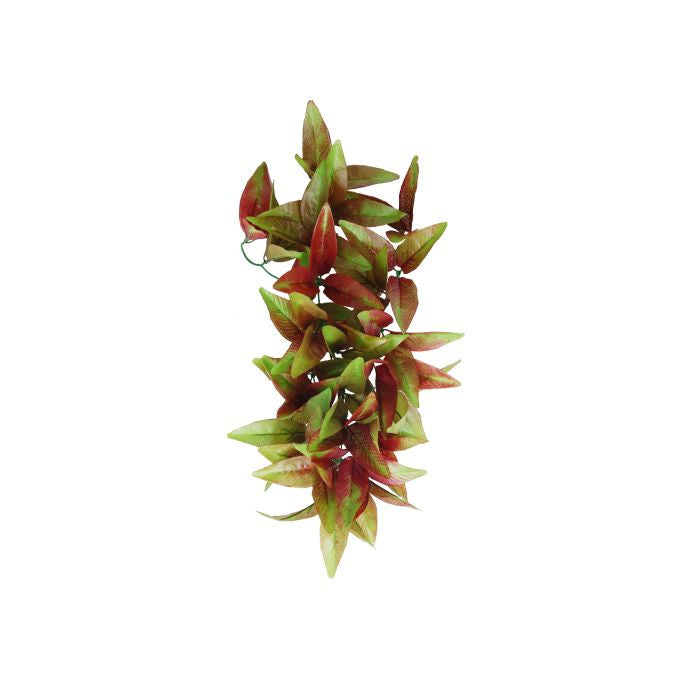 ECO TECH HANGING RADIATING STAR PLANT 35X25CM