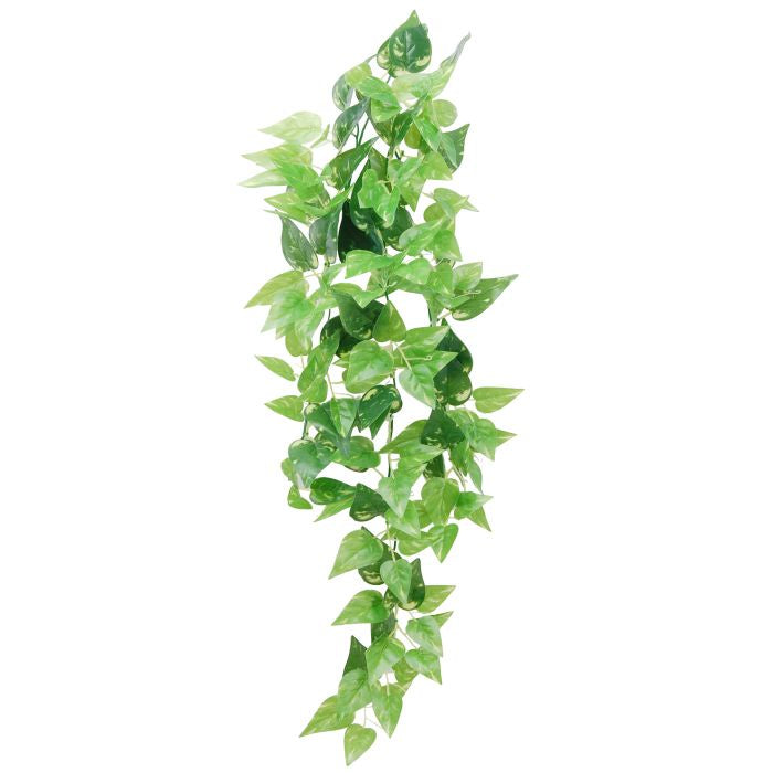 ECO TECH HANGING HONEY IVY 80CM