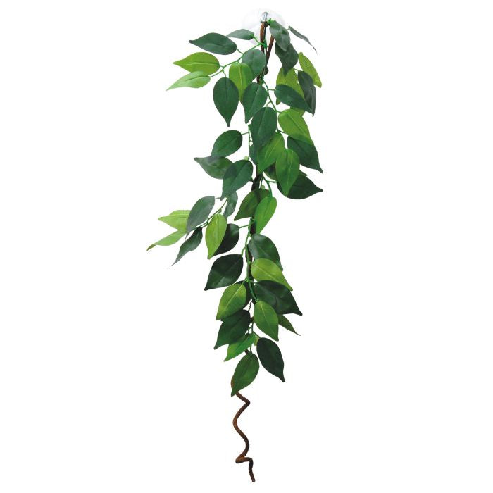 ECO TECH HANGING FICUS VINE 60CM