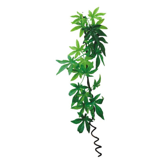 ECO TECH HANGING ALBULLTION VINE 60CM
