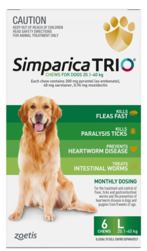 SIMPARICA TRIO DOG 20.1-40KG GREEN L 6PK