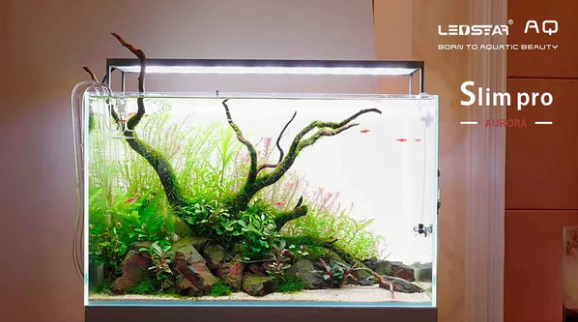 LEDSTAR WRBG SLIM & SMART 30CM LIGHT