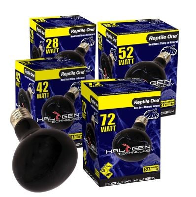 REPTILE ONE HALOGEN MOONLIGHT BULB 28 WATT