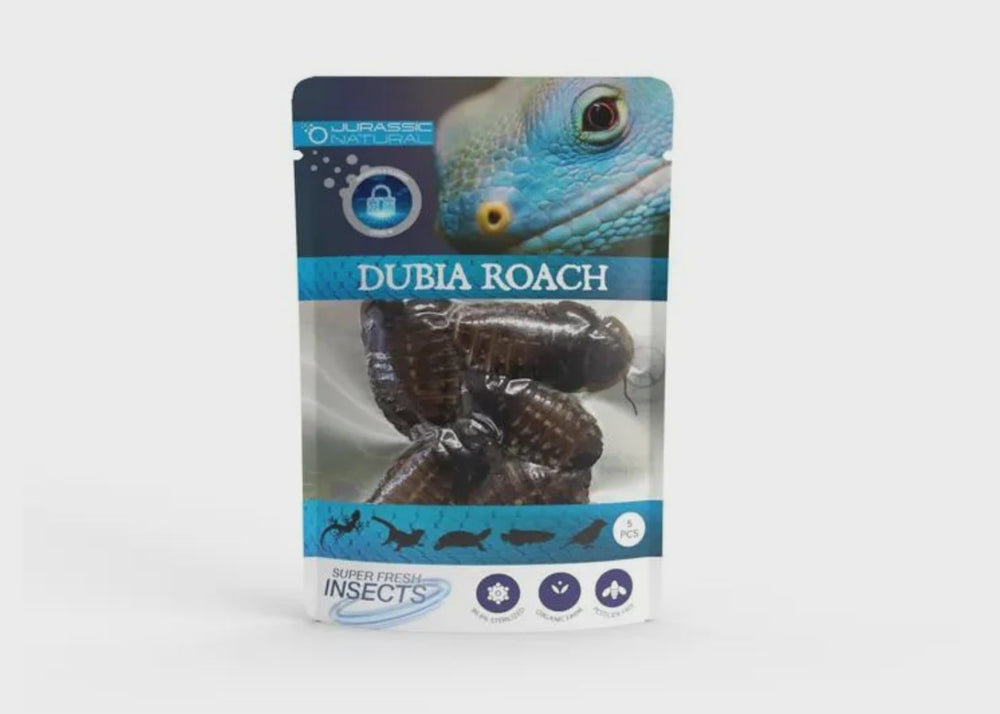PISCES JURASSIC NATURAL DUBIA ROACH PACK OF 5