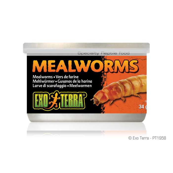 EXO TERRA MEALWORMS 34GM