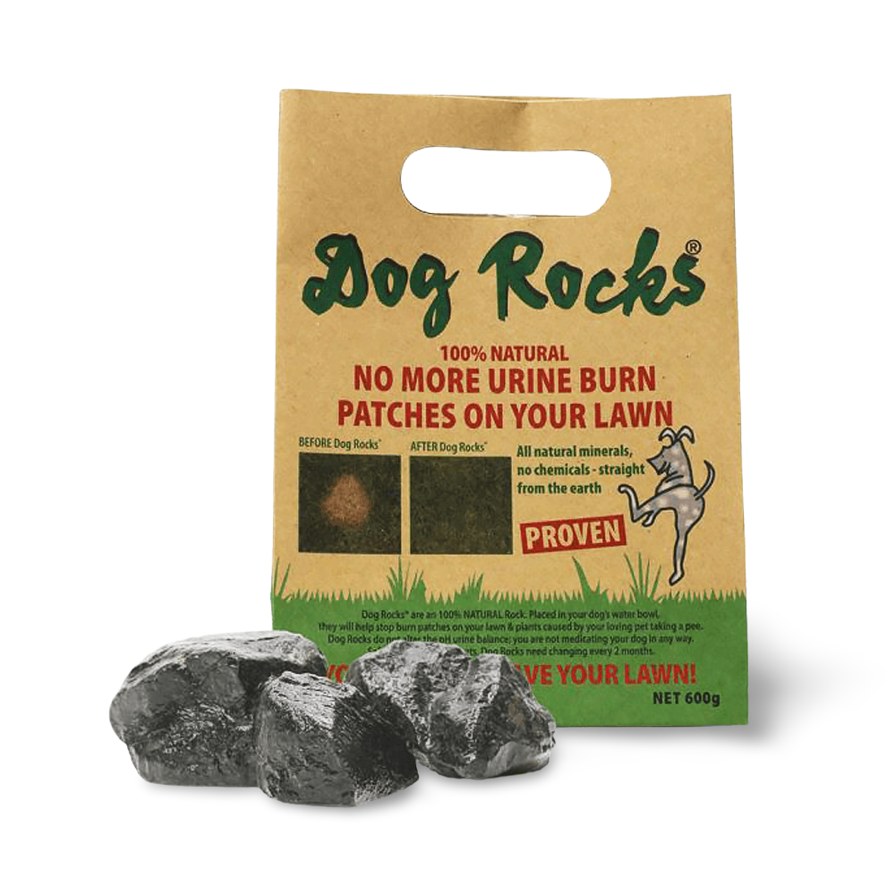 DOG ROCKS 600G