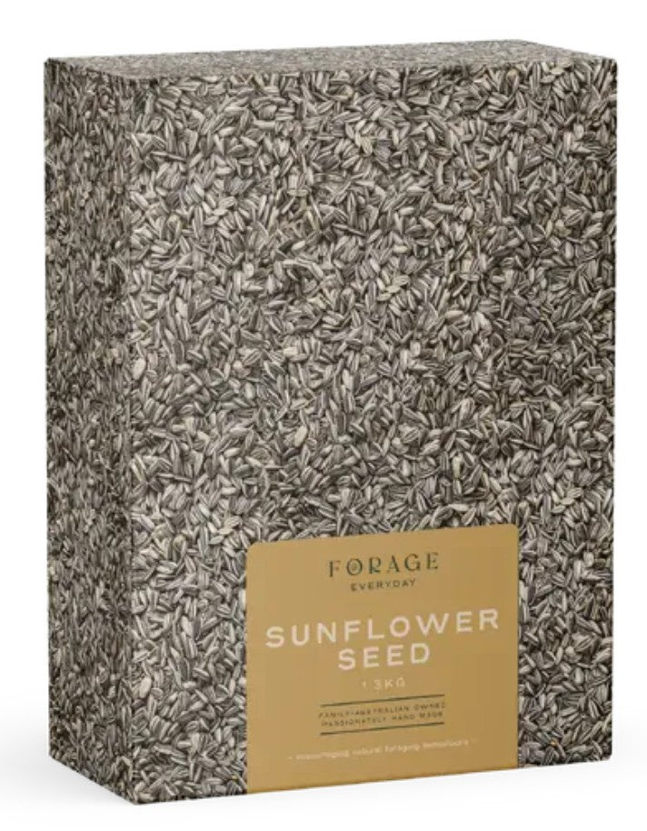 FORAGE EVERYDAY SUNFLOWER 1.3KG